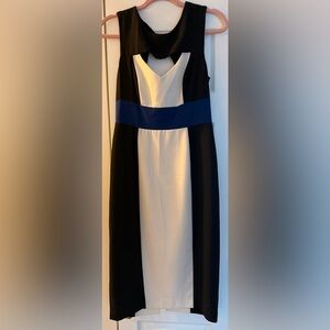 *Final Price* likenew BCBGMacAzria "Antonella" colorblock dress
